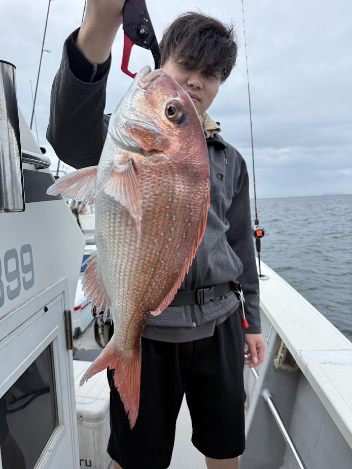 真鯛 | 有明海・熊本天草の釣り船【遊漁船 海人丸】