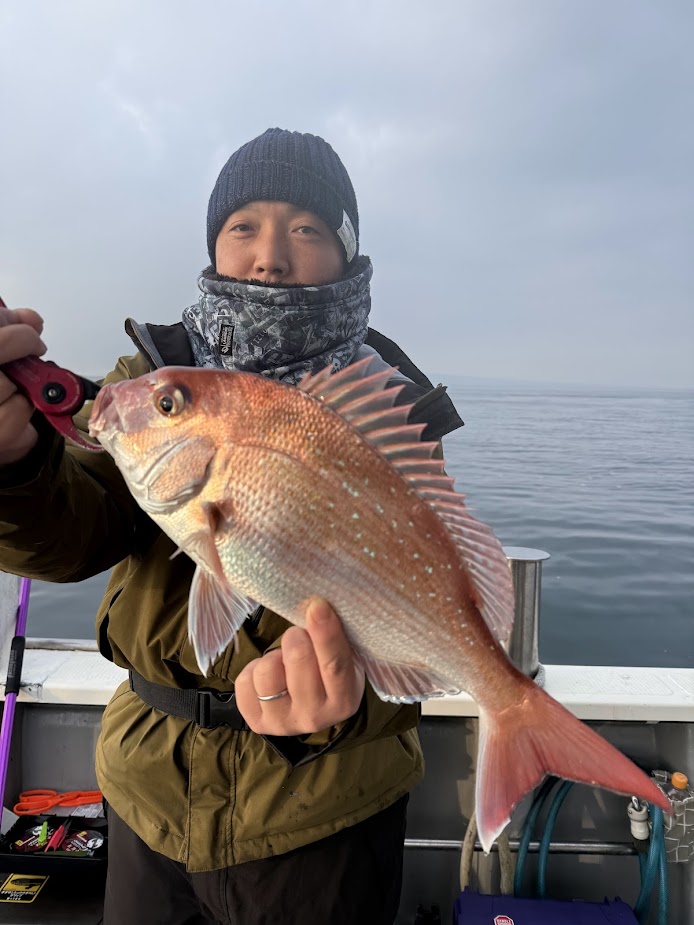 江戸縮緬　目出度い鯛 真鯛 | 有明海・熊本天草の釣り船【遊漁船 海人丸】