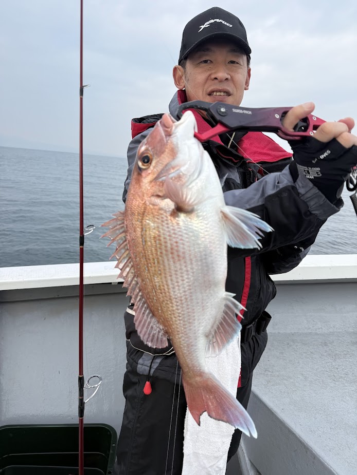 真鯛 | 有明海・熊本天草の釣り船【遊漁船 海人丸】