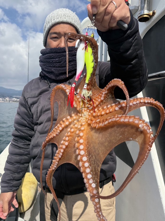 マダコ | 有明海・熊本天草の釣り船【遊漁船 海人丸】