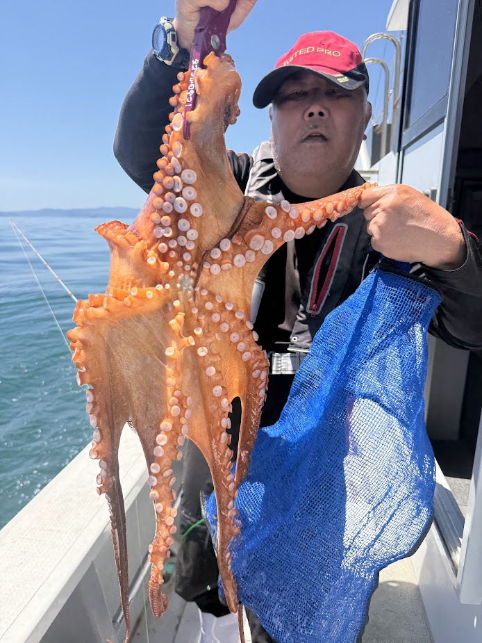 マダコ | 有明海・熊本天草の釣り船【遊漁船 海人丸】