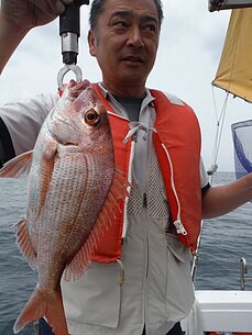 2014年5月25日（若潮）鬼池沖