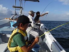 2014年7月26日（土）中潮　島原沖