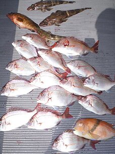 2014年8月30日（土）　島原沖
