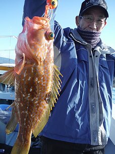 2014年11月15日（土）　鬼池沖
