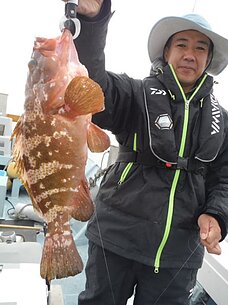2014年11月17日（月）