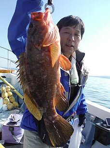 2014年11月20日（木）真鯛
