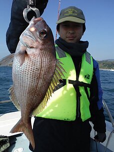 2014年11月23日（日）真鯛