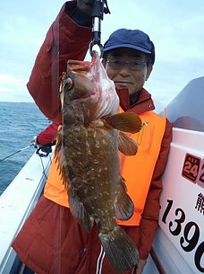 2014年11月29日（土）真鯛