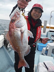 2015年1月4日（日）真鯛