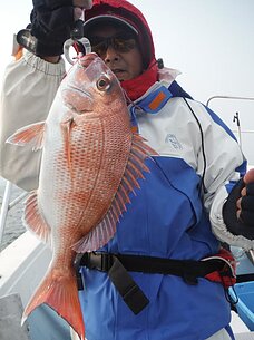 2015年1月11日（日）真鯛