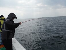 2015年2月11日（水）メバル