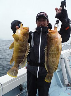 2015年3月27日（金）真鯛・根魚