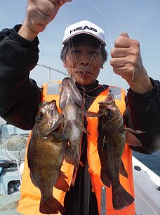 2015年3月30日（月）メバル