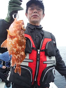 2015年4月4日（土）　根魚五目など