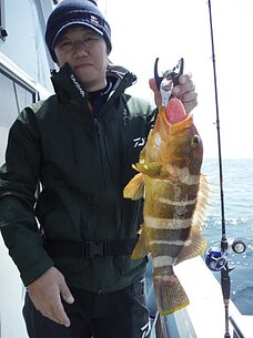 2015年4月11日（土）　真鯛・根魚