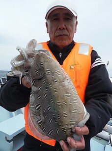2015年4月12日（日）　真鯛・根魚