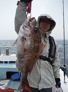 2015年4月19日（日）　真鯛・イカ