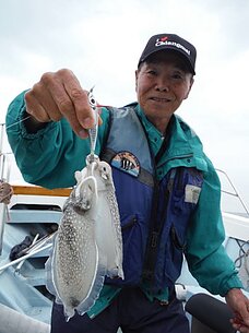 2015年5月7日（木）　イカ