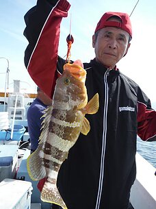 2015年5月10日（日）　真鯛・根魚