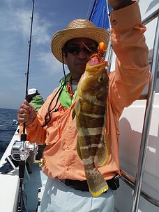2015年5月17日（日）　真鯛・根魚