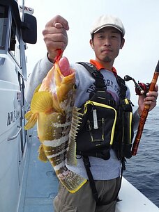 2015年5月19日（火）　真鯛・根魚