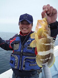 2015年5月23日（土）　真鯛・根魚