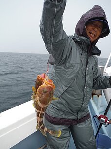 2015年6月15日（月）　根魚五目