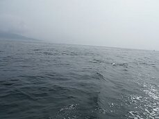 2015年6月21日（日）　タイラバ・テンヤ