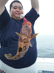 2015年7月6日（土）　タイラバ