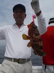 　タイラバ・テンヤ