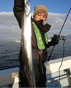 　太刀魚