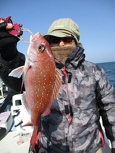 　テンヤ・タイラバ