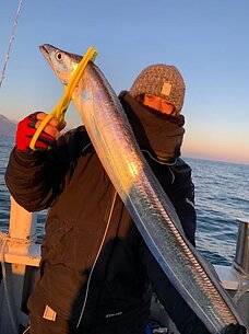 太刀魚