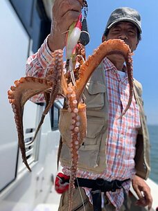 　タコ