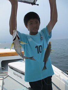 　イサキ五目