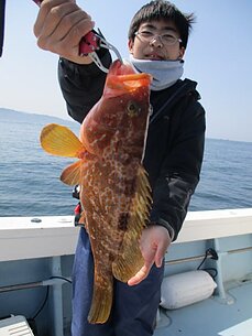 　遠征タイラバ