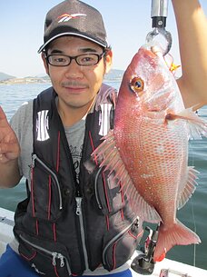 　真鯛