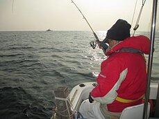 2014年1月18日（土）　メバル