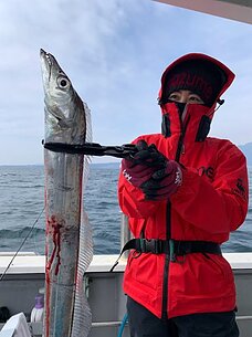 太刀魚