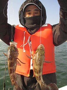 2014年2月22日（土）　メバル