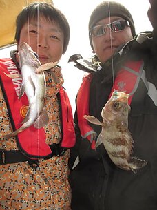 2014年3月8日（土）　メバル