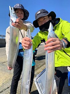 太刀魚