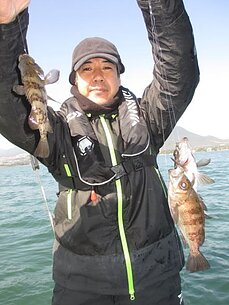2014年3月11日（火）　メバル
