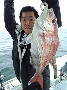 　真鯛・ヒラメ