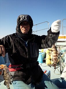 2015年2月1日（日）メバル
