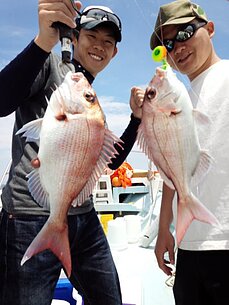 2016年6月3日（金）　タイラバ・テンヤ