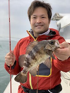 　メバル