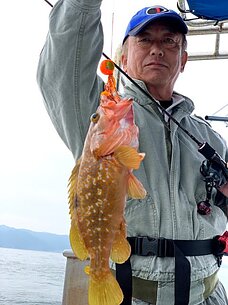 太刀魚～タイラバ・テンヤリレー