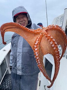 太刀魚/タコ